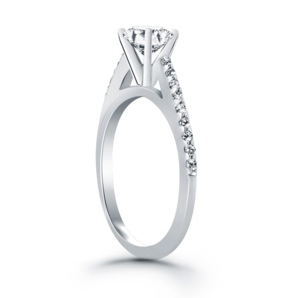 14k White Gold Micro Prong Diamond Cathedral Engagement Ring - alternate view 3