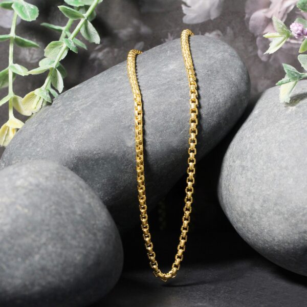 14k Yellow Gold Round Box Chain (2.5 mm) - alternate view 4
