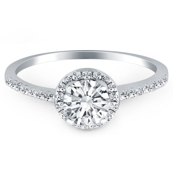 14k White Gold Diamond Halo Collar Engagement Ring - alternate view 2