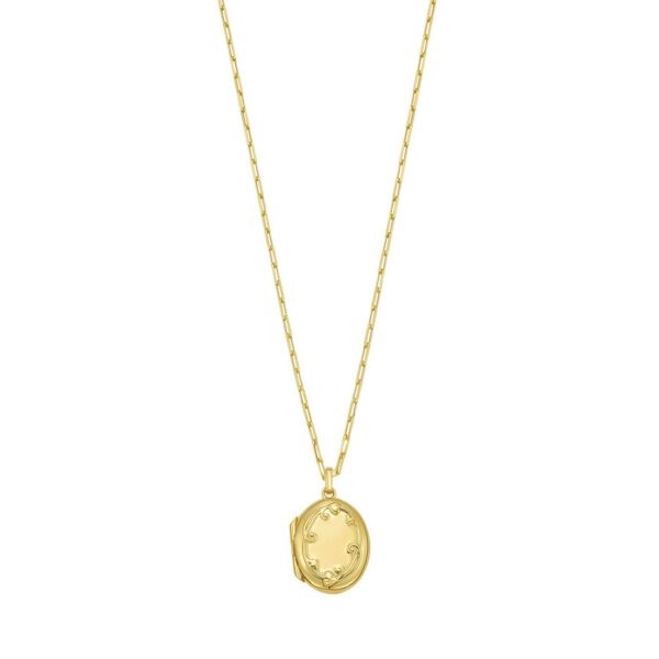 Sterling Silver Gold Plated Oval Vine Locket Necklace
