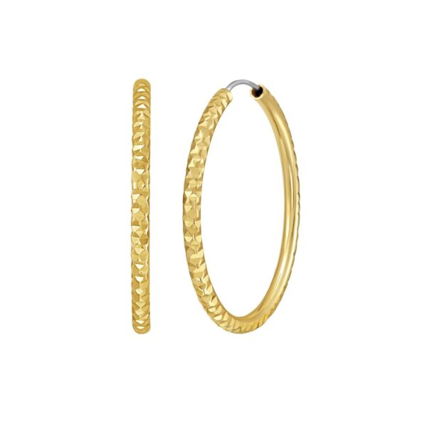 14K Yellow Gold Faceted Round Hoop Earrings