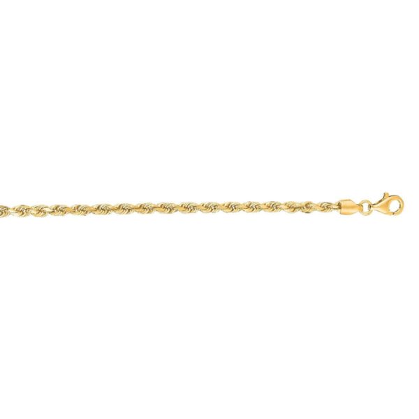 10k Yellow Gold Solid Diamond Cut Rope Bracelet (3.00 mm) - alternate view 2