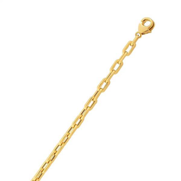 14k Yellow Gold Paperclip Chain Necklace (4.20 mm) - alternate view 2