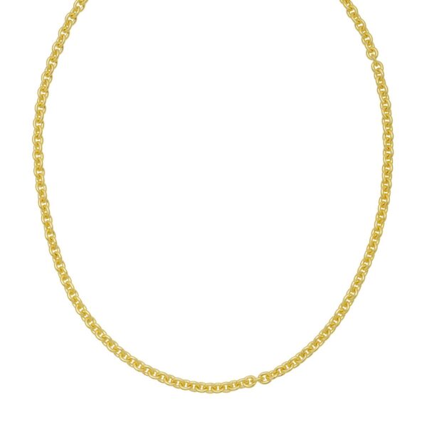 Sterling Silver Gold Plated Rolo Chain (4.70 mm) - alternate view 3