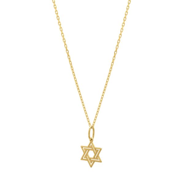 Star of David Necklace in 14K Yellow Gold - alternate view 2